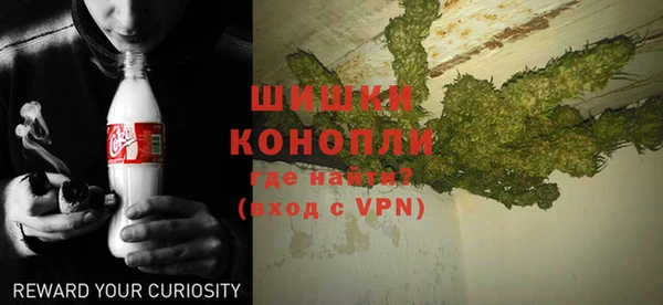 прущие грибы Бронницы