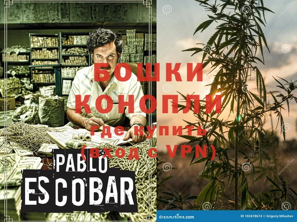 прущие грибы Бронницы