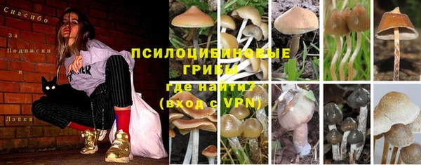 кристаллы Богородицк