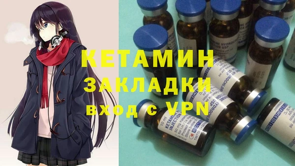 прущие грибы Бронницы