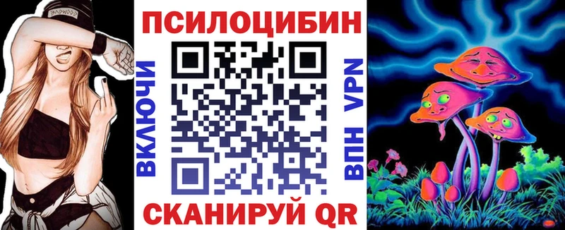 где купить наркотик  Микунь  площадка клад  Псилоцибиновые грибы Cubensis 